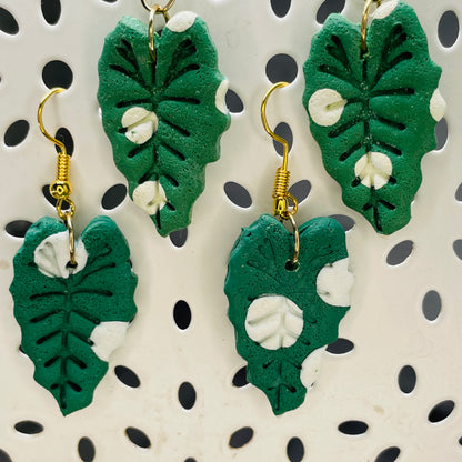 Variegated Alocasia Earrings - 3 pairs left!