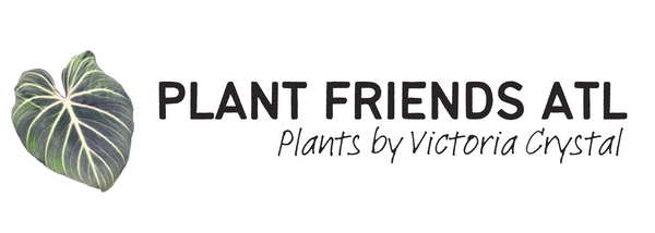 Plant Friends ATL