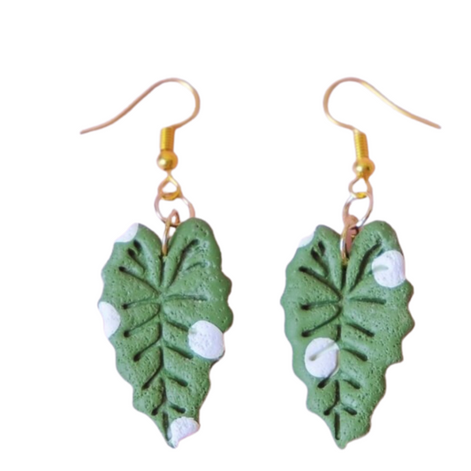 Variegated Alocasia Earrings - 3 pairs left!